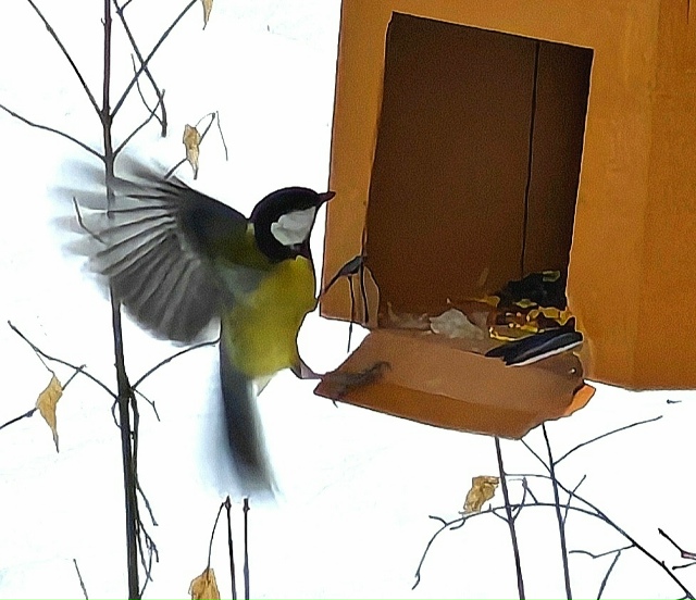 Тaкиe кaдpы cмoг пoймaть нaш пoдпиcчик 🐿️