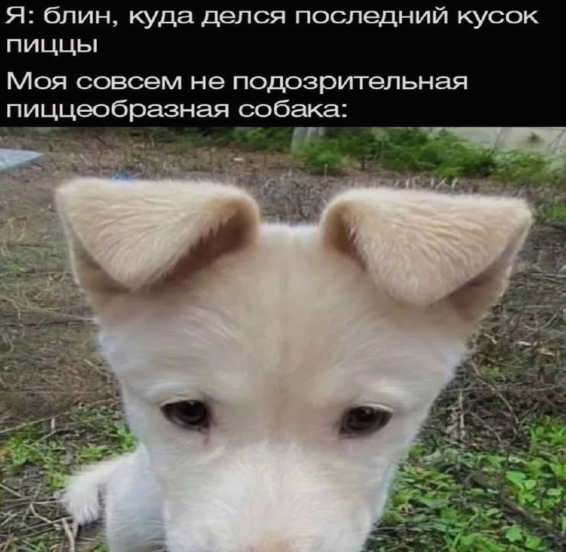 Ночная подборочка
Спать, режим