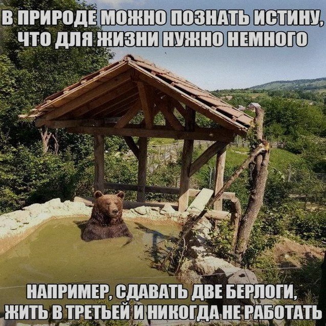 Ночная подборочка
Спать, режим