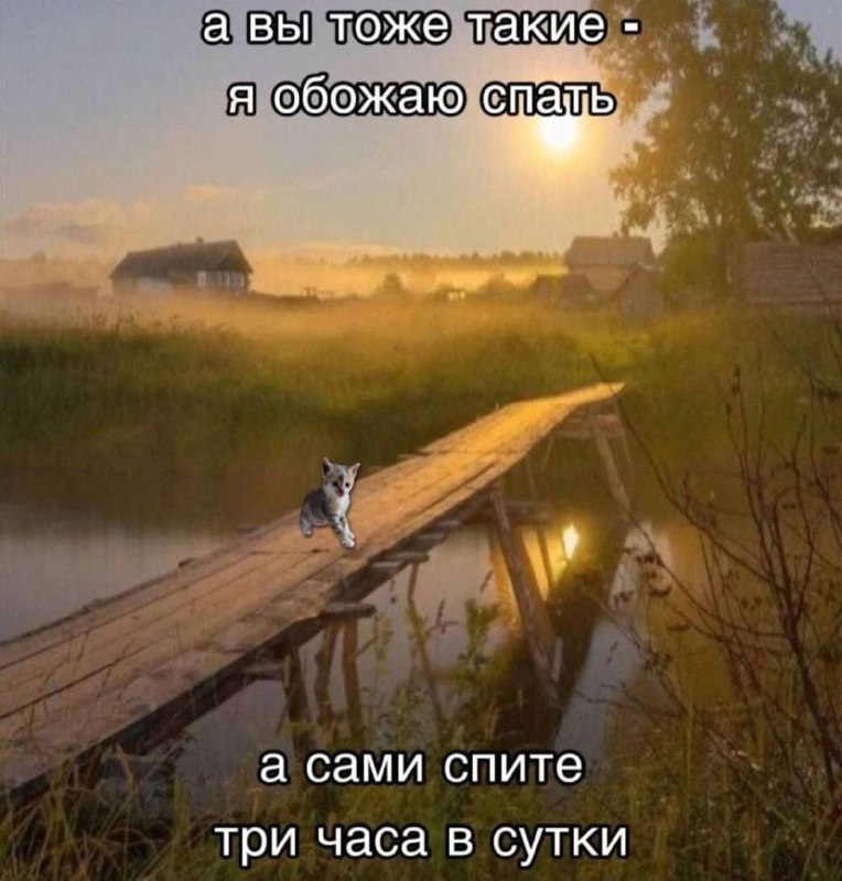 Утренняя подборочка