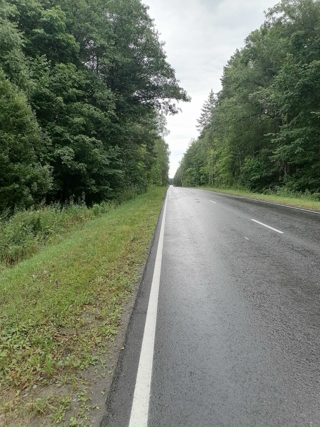 На развилке, в сторону Алтышево, в лес невозможно зайти...