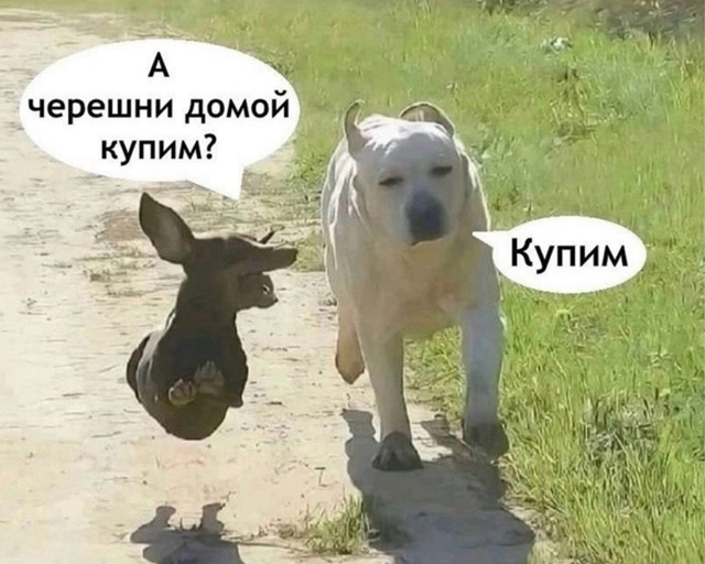 Тяжело мужчинам порой приходится