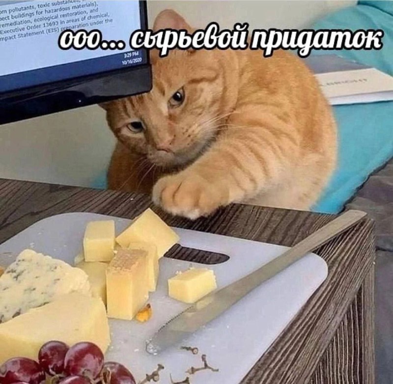 Утренняя подборочка
