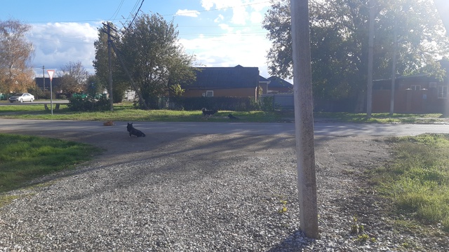 Прошу внимания от администрации.
Перекрёсток улиц Мир...