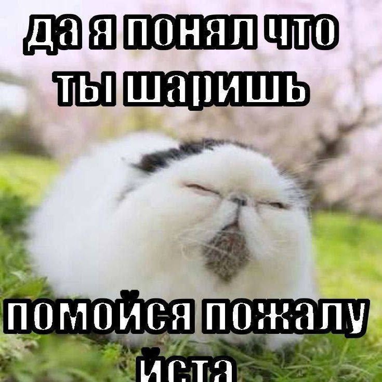 Утренняя подборочка