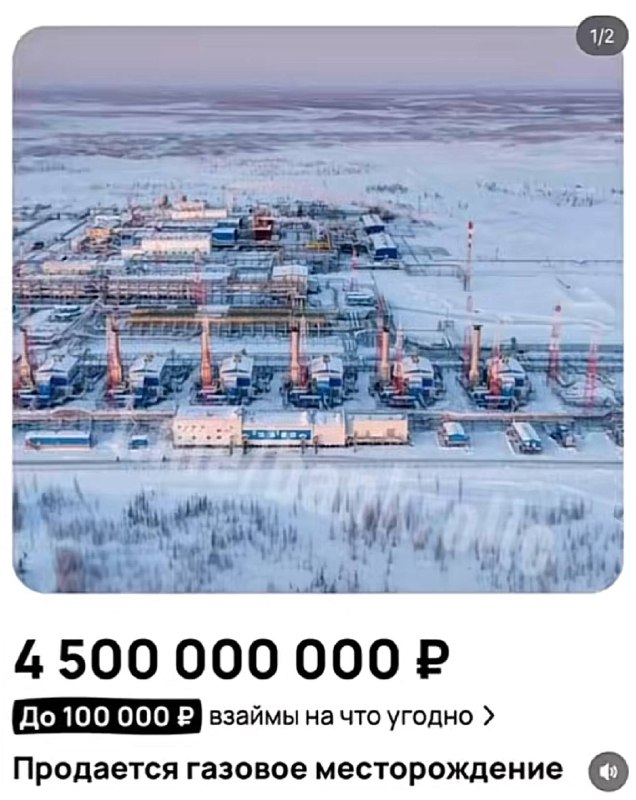 «что ты хочешь на 14 февраля?»