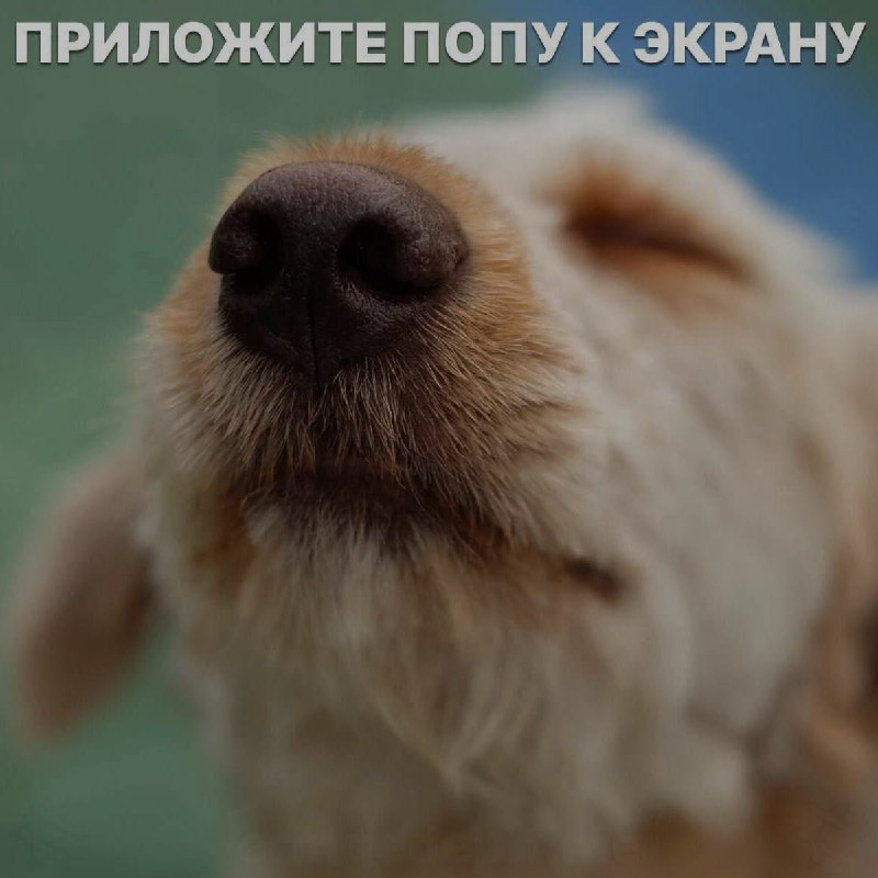 Ночная подборочка
Спать, режим