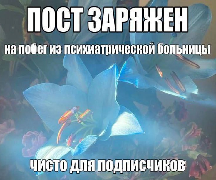 Утренняя подборочка