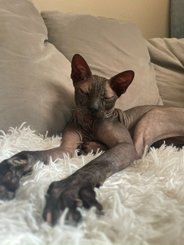 Магамед Исмаилов