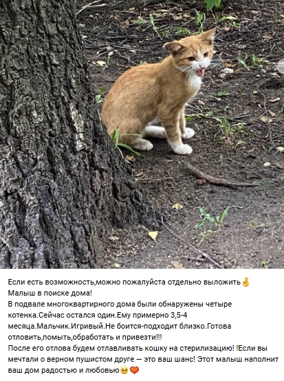 Пост добра. Распространите, пожалуйста.