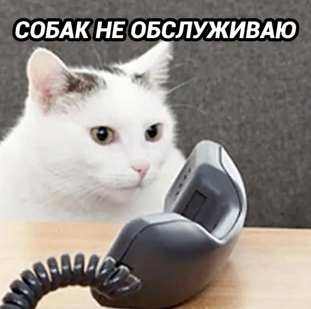 НУ это умышленная подстава