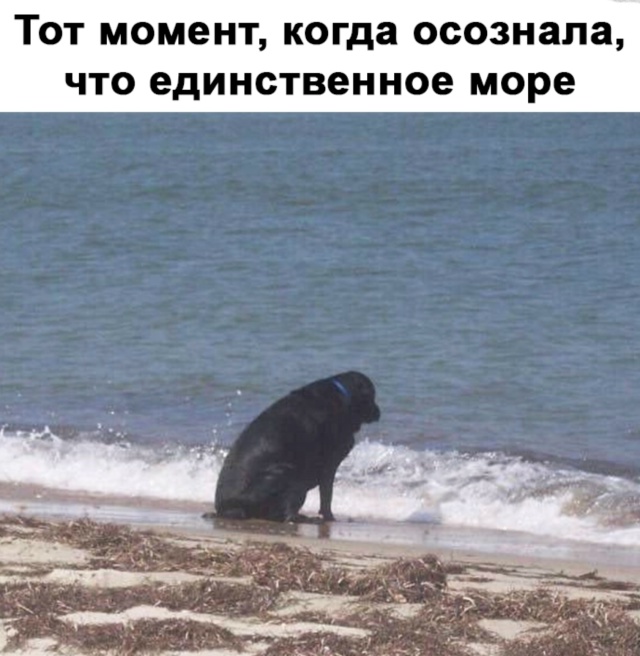 И так уже 10 лет