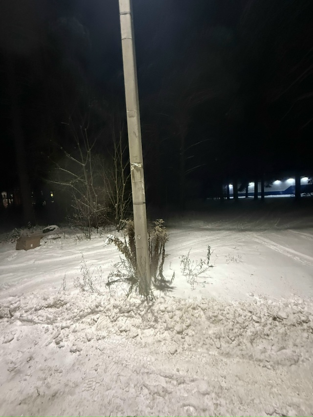 На Механизаторов у «Стройграда» лежит странная коробк...