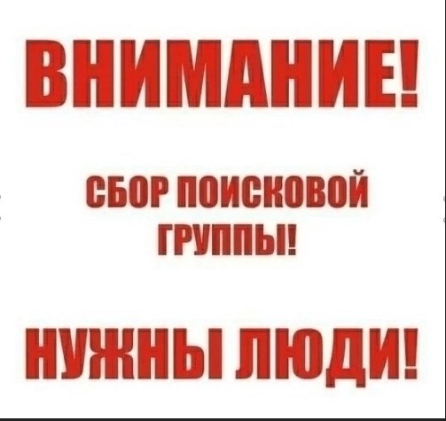 Просим всех неравнодушных присоединиться на поиски Ф?...