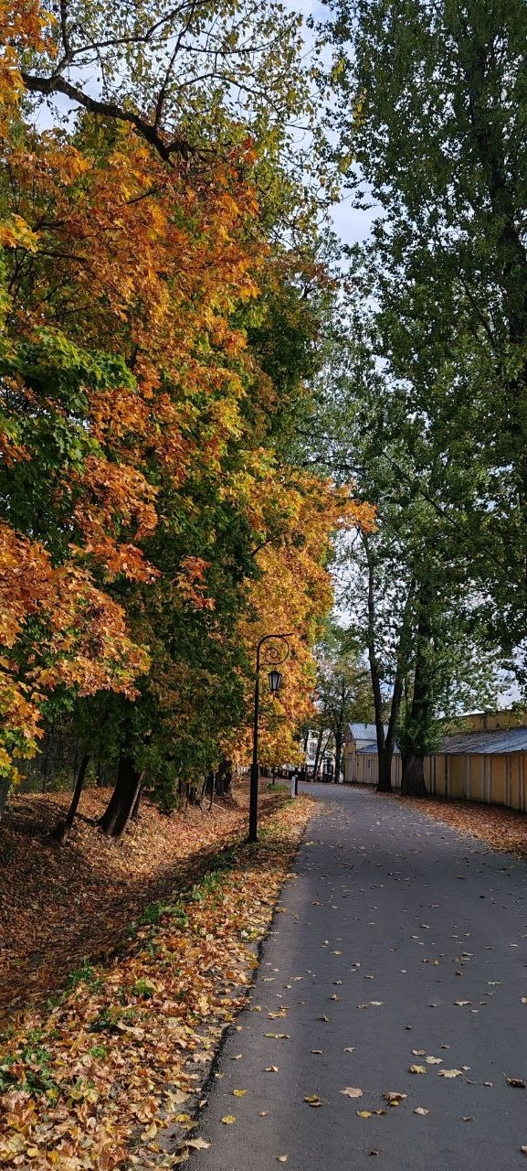Осень в Балашихе🍁