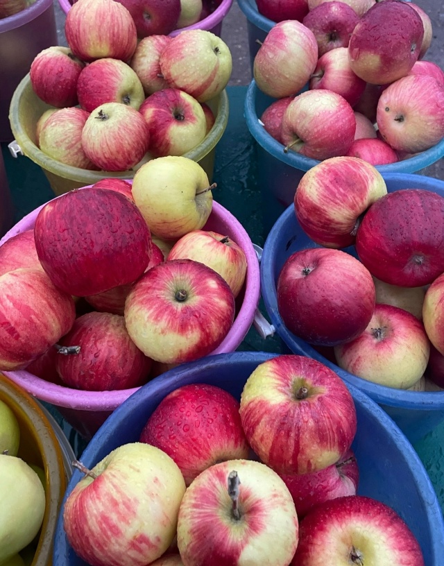 Дорогие друзья! С. КРАСНОУСОЛЬСКИЙ🍎🍐ПРИЕДЕМ НА ЯРМА?...