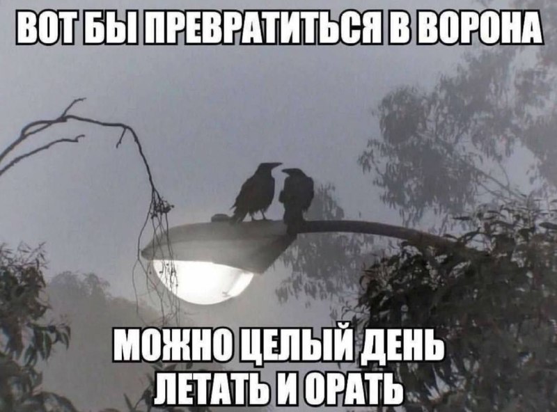 не жизнь а сказка