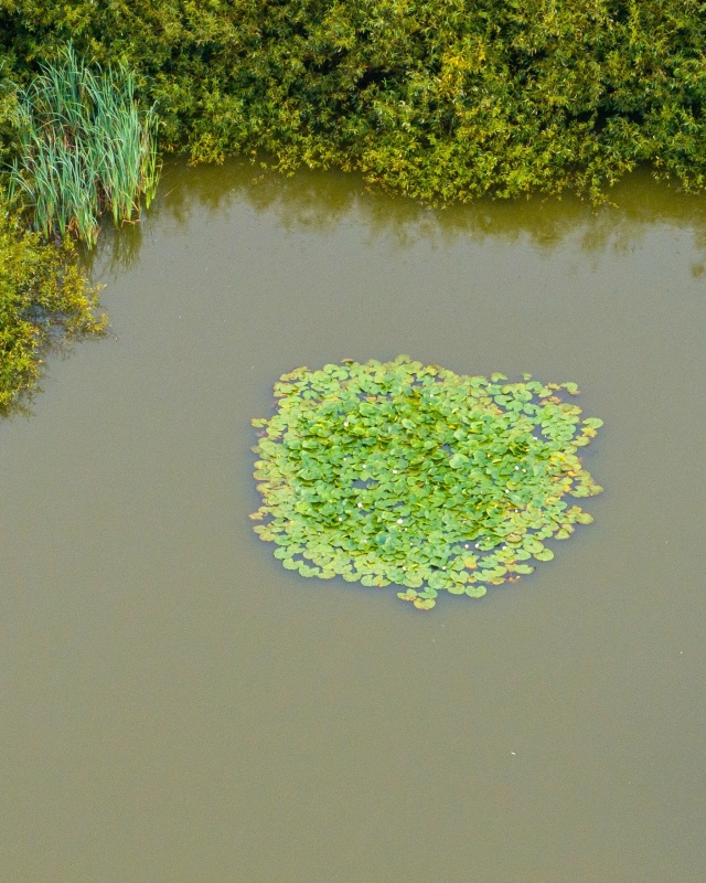 Стрелу никто не терял? ?
Найдено жилище той самой цар...