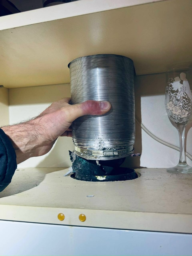 В Балашихе спасатели пришли на помощь голубю
Птица з?...