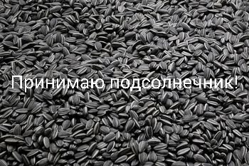 ✅Принимаю подсолнечник на давальческой основе.
✅Прин...