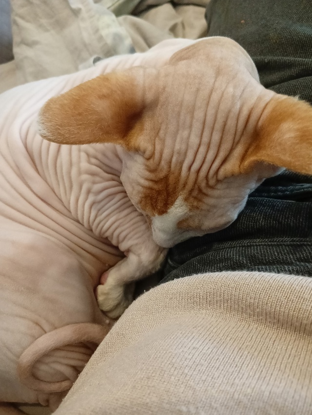 Это мой сын, Оливер
Он немного глупенький, но очень лас...