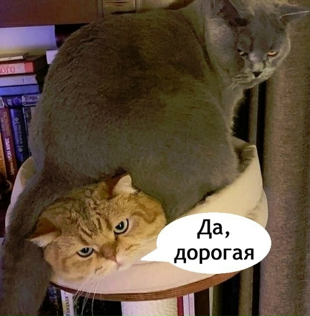 Вот так и живем
