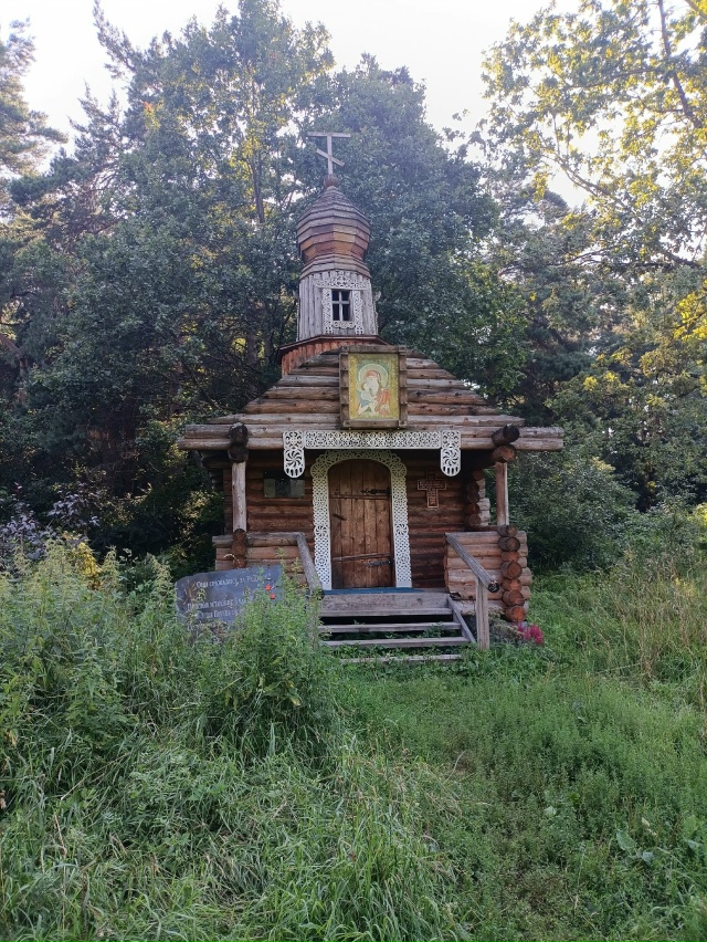 В Балашихинском районе, в Салтыковском лесу полностью ...