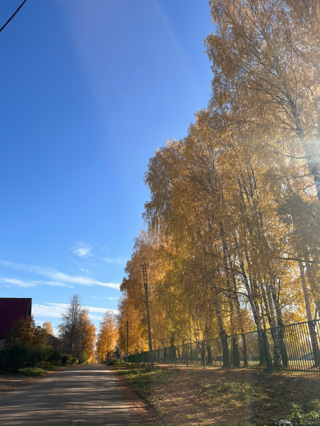 Золотая осень в Вельске 💛
Анон
#Я_тебя_видел@podslushano_velsk