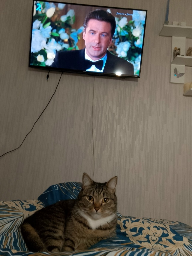 Красавцы 🥰🥰🥰