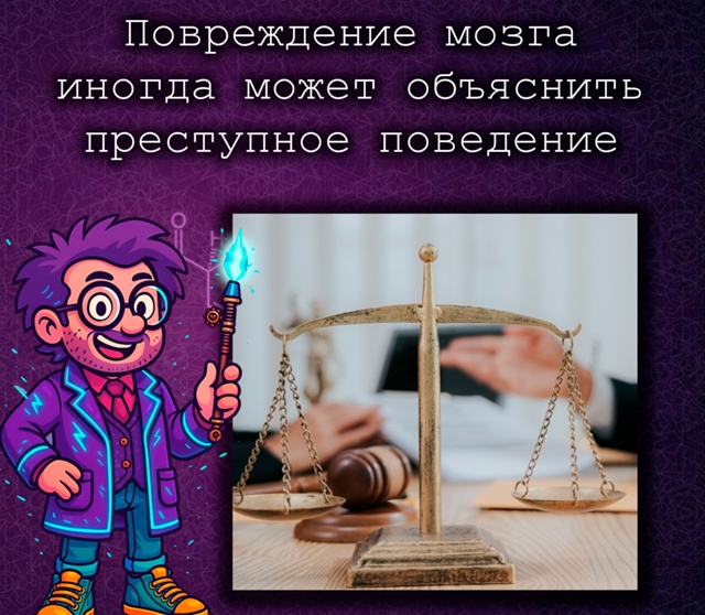 Травма мозга может объяснить преступное поведение — и...