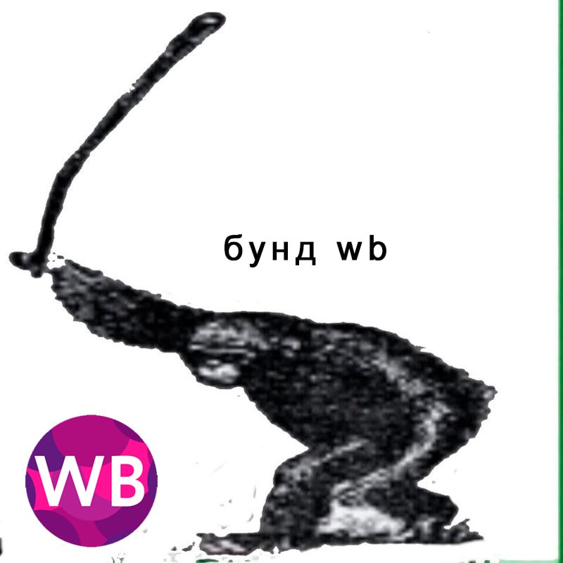 ❗️Текстильные заводы Иваново открыто выступили против Татьяны Ким и Wildberries
🟠Местные работяги с