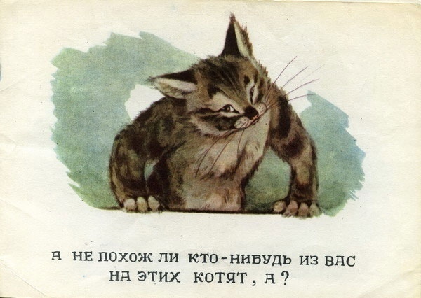 Владимир Матвеев — «Посмотрите какие котята», 1965.