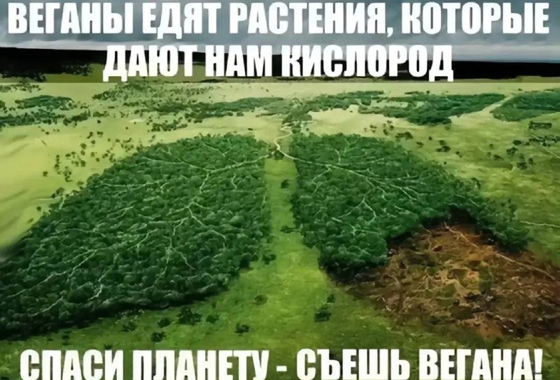 Утренняя подборочка