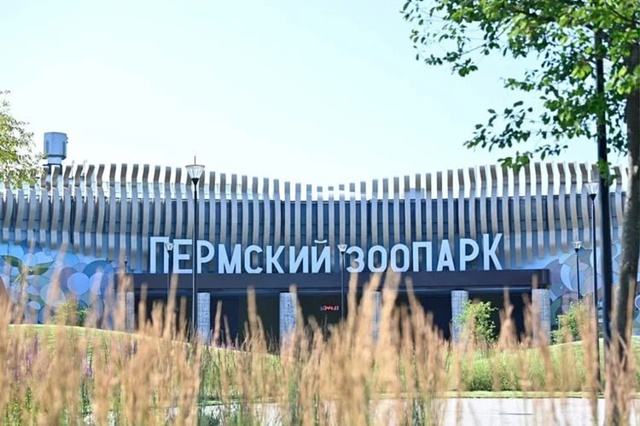 ️Уже сегодня ‼️‼️‼️
⚡️⚡️🦁 Пермский зоопарк: ра?...