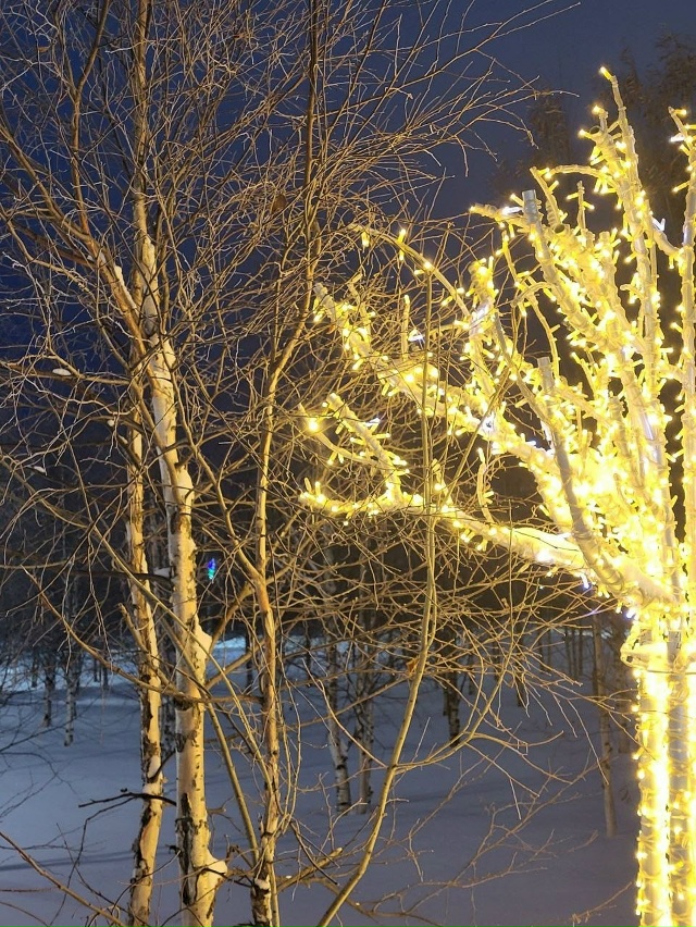 Начали устанавливать главную новогоднюю ель Усинска. ?...