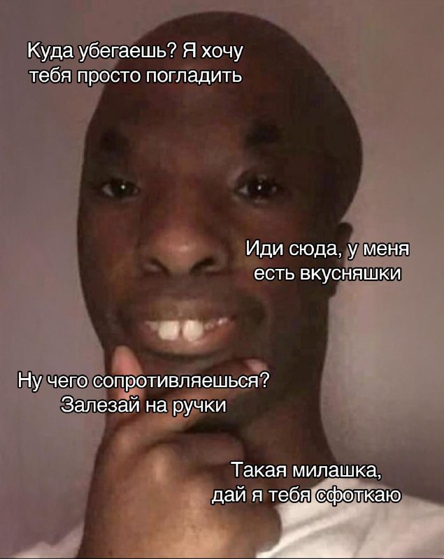 это я ощущаю себя старым извращенцем, который пристает к ребенку, когда разговариваю со своим котом