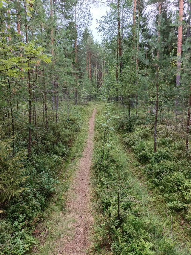 Лютый зверь обитает в Аргуновских лесах. Размером чуть...