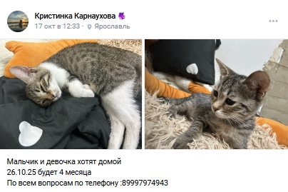 Пост добра. Распространите, пожалуйста.