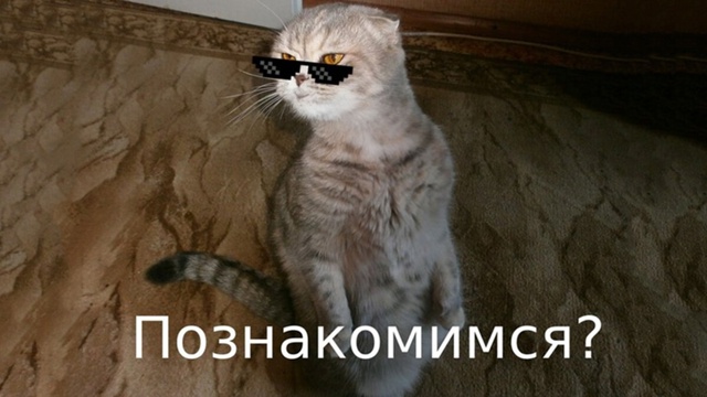 Пятничный пост знакомств!
Свободные ПАРНИ и ДЕВУШКИ, ...