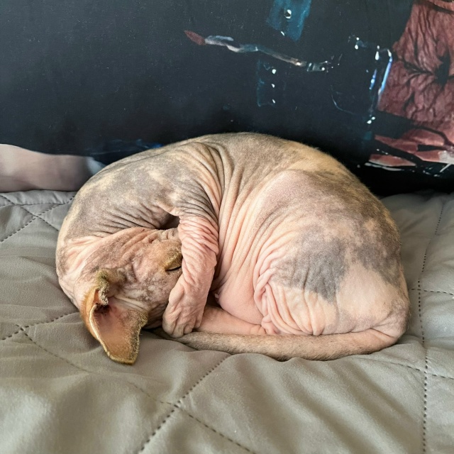 айзе за свои 12 лет довелось побывать в 3 городах, послед...