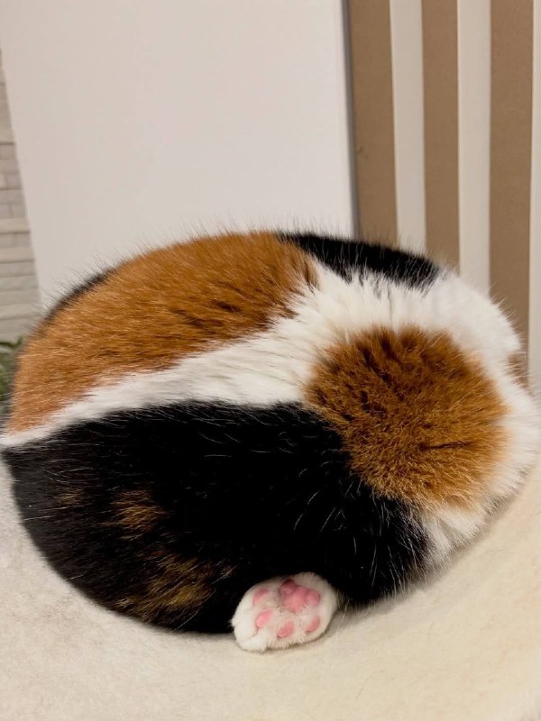 Карамельно-чоколадный кексик с мармеладками :3