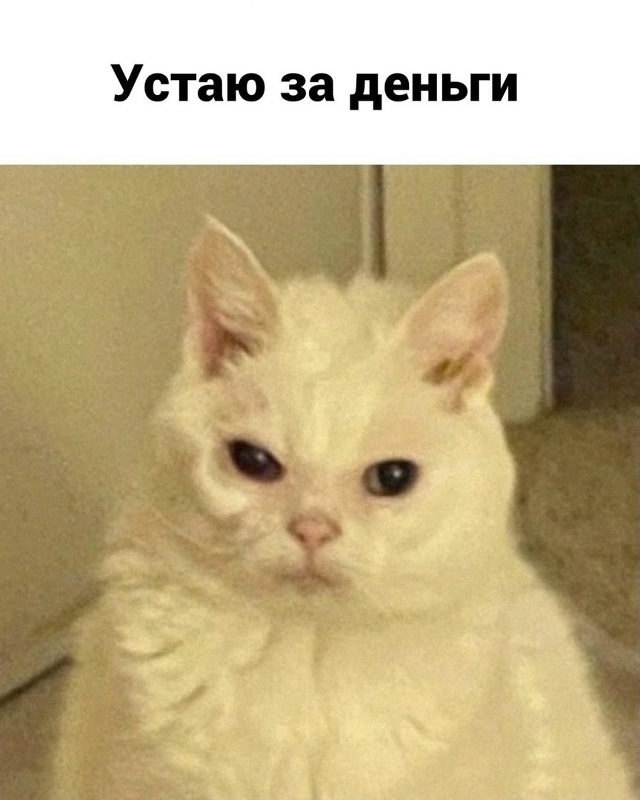 рабочие будни