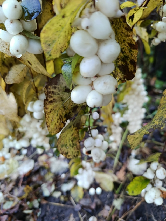 Чкаловск, солнечный день.05.11.25