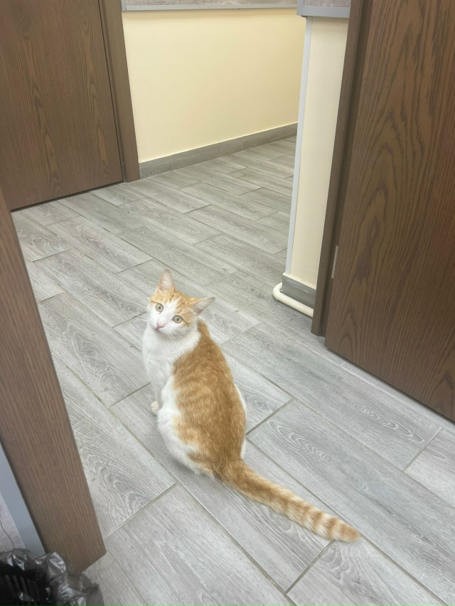 Добрый день!
Возле ООО МосОблЕИРЦ в г. Орехово-Зуево же?...