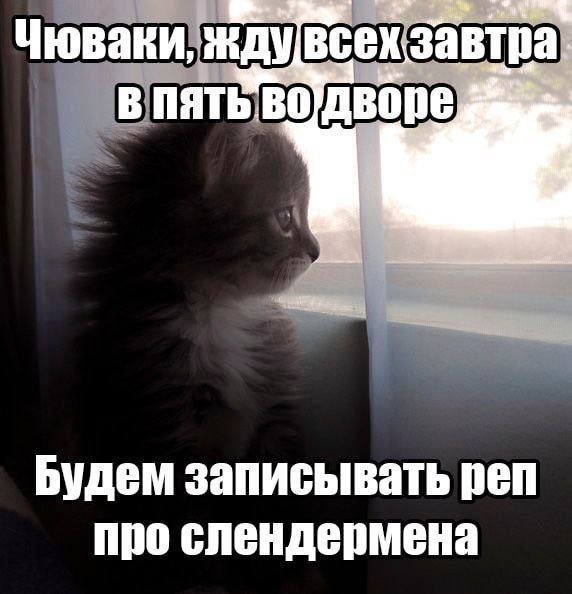 Утренняя подборочка