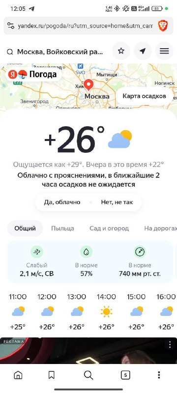 ☔️Прогноз погоды сейчас похож на лотерею
Подписчица жалуется, что в приложении «Яндекс Погода» оса
