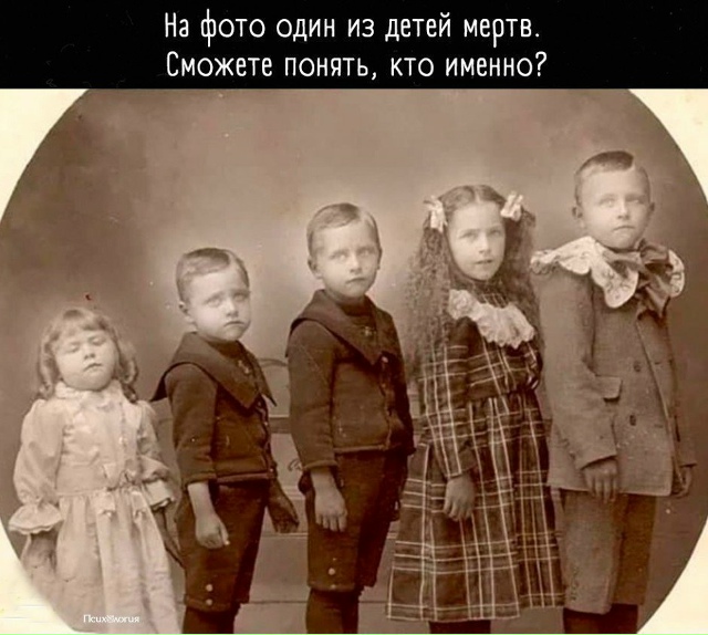 Как думаете?