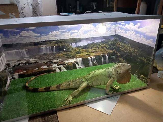 1, 2, 3 и 4 ноября в г. Тамбов в ТРЦ Рио с 10-00 до 20-00 пройдёт с...