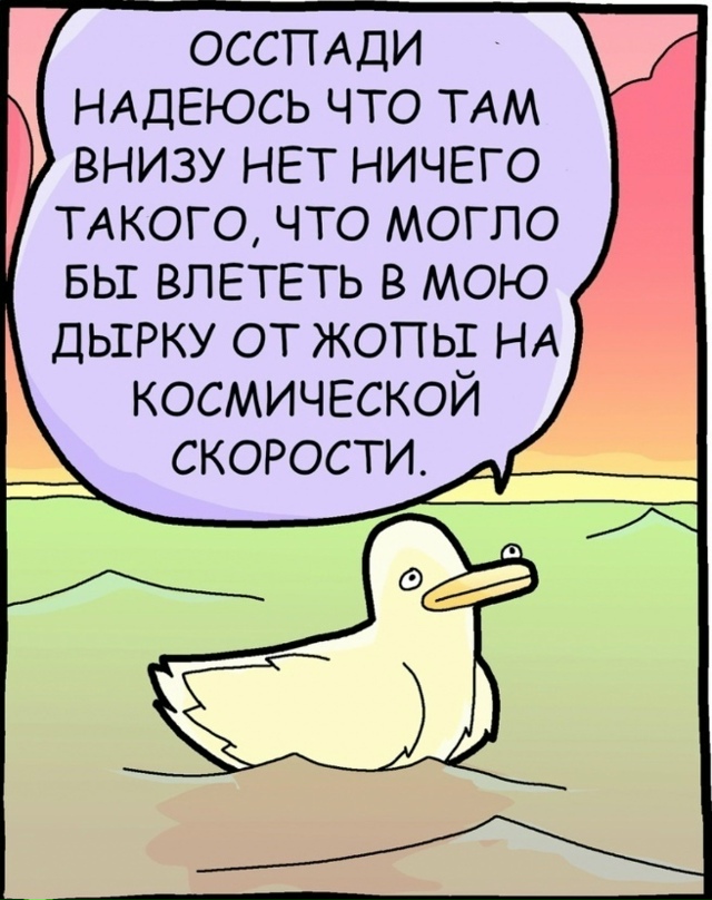 Повезло, повезло