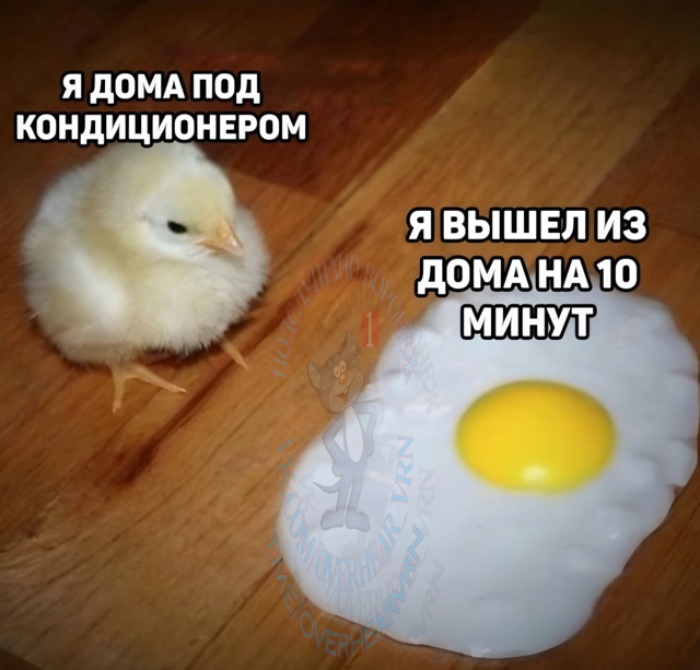В Воронеж после адских ливней и потопов возвращается а...